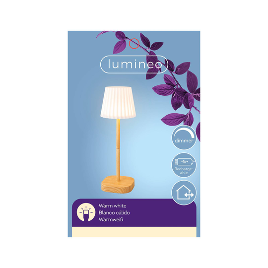 LED-bordlampe 897976, treutseende med batteri