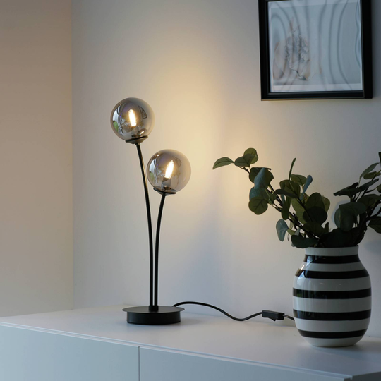 Paul Neuhaus Window LED-bordlampe, 2 lyskilder