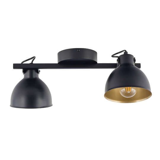 Trial taklampe, 2 lyskilder, svart/gull