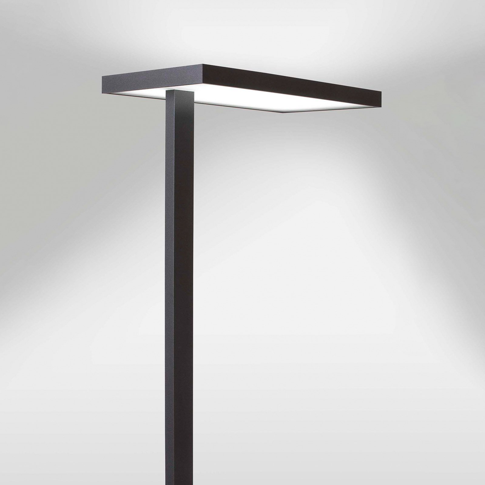Lola LED-gulvlampe til kontor, 3 000 K, DALI