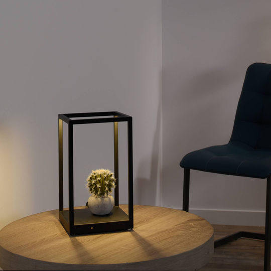 Paul Neuhaus Contura LED-bordlampe i svart
