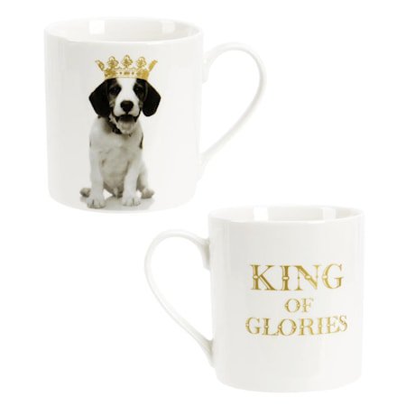 King of Animal Kopp Hund 37 cl Gull New Bone China