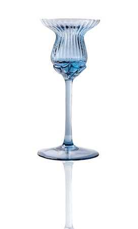 Tulipán Lysestake 15 cm Blue smoke