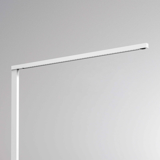 Molto Luce Lens Short Double F dimbar