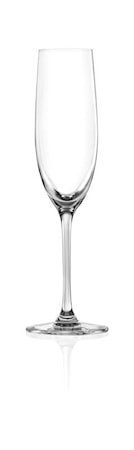 Sontell Champagneglass 6-pakning Klar