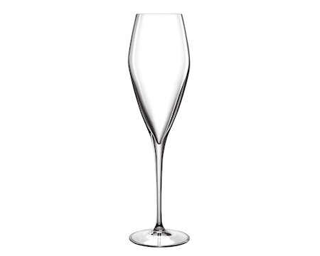 Lb Atelier Champagneglass/Prosecco 2 St.