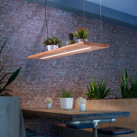 Paul Neuhaus Palma LED-hengelampe CCT ned