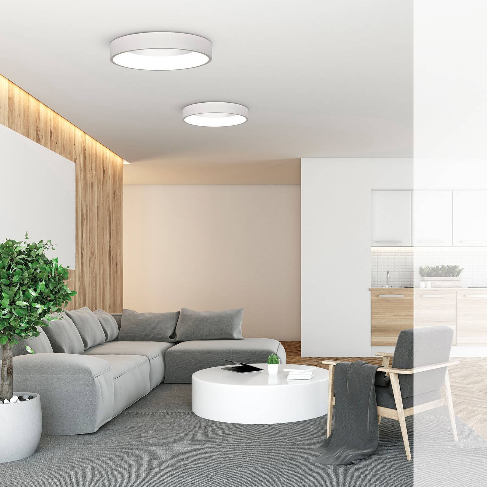 LED-taklampe Dilga DALI Ø 60 cm Casambi hvit
