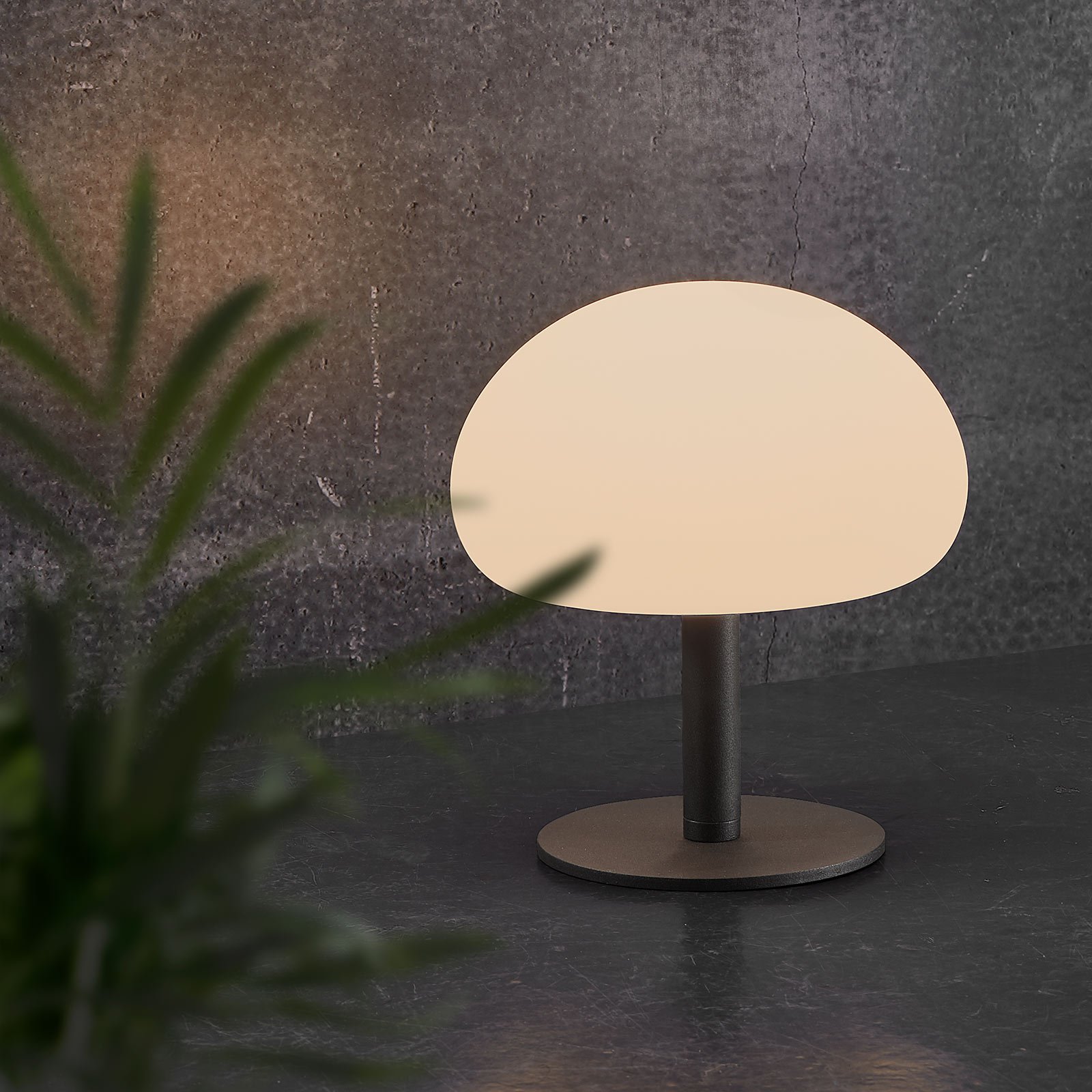 LED-bordlampe Sponge table med 21,5 cm batteri