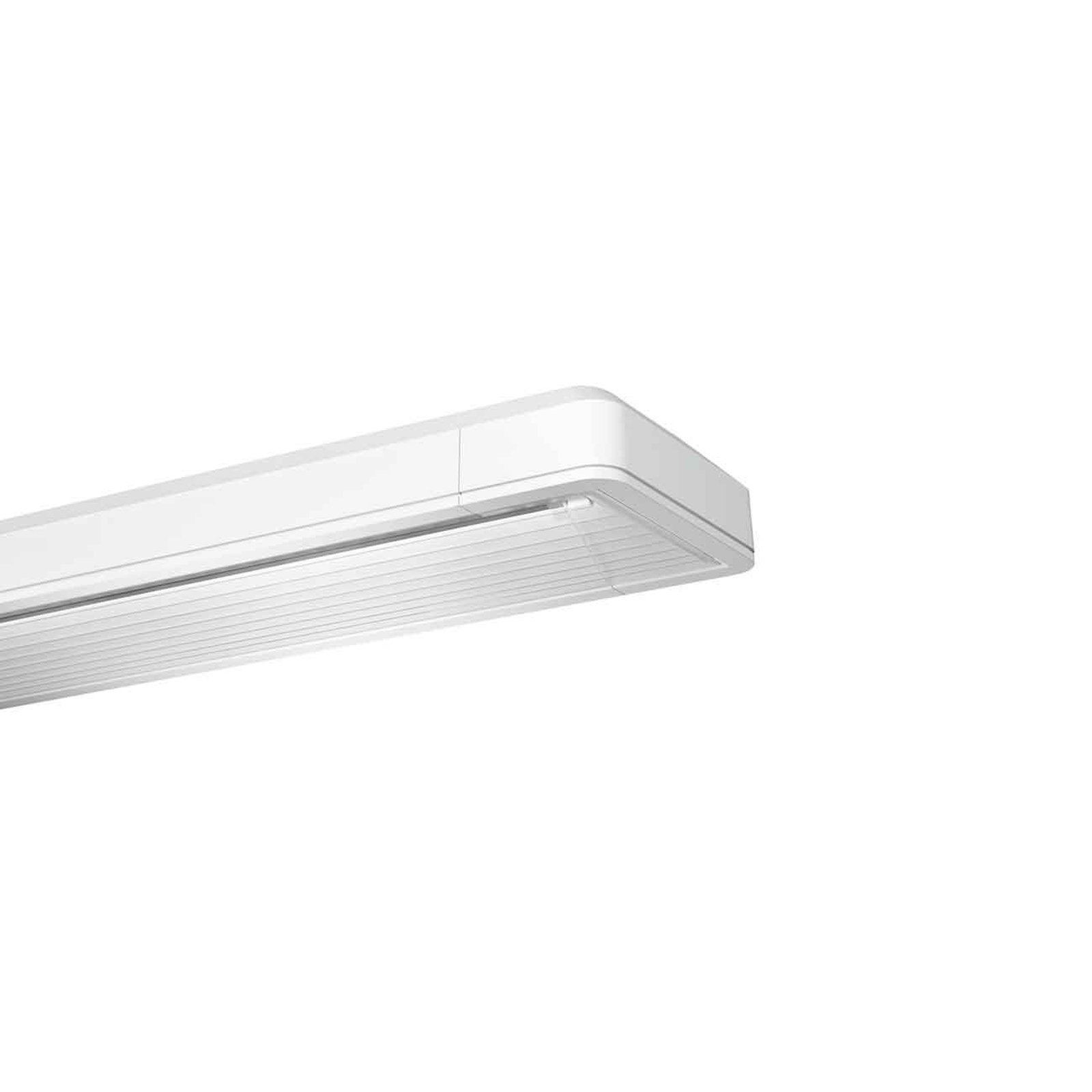 Siteco Taris LED-taklampe 123 cm el. ball. DALI