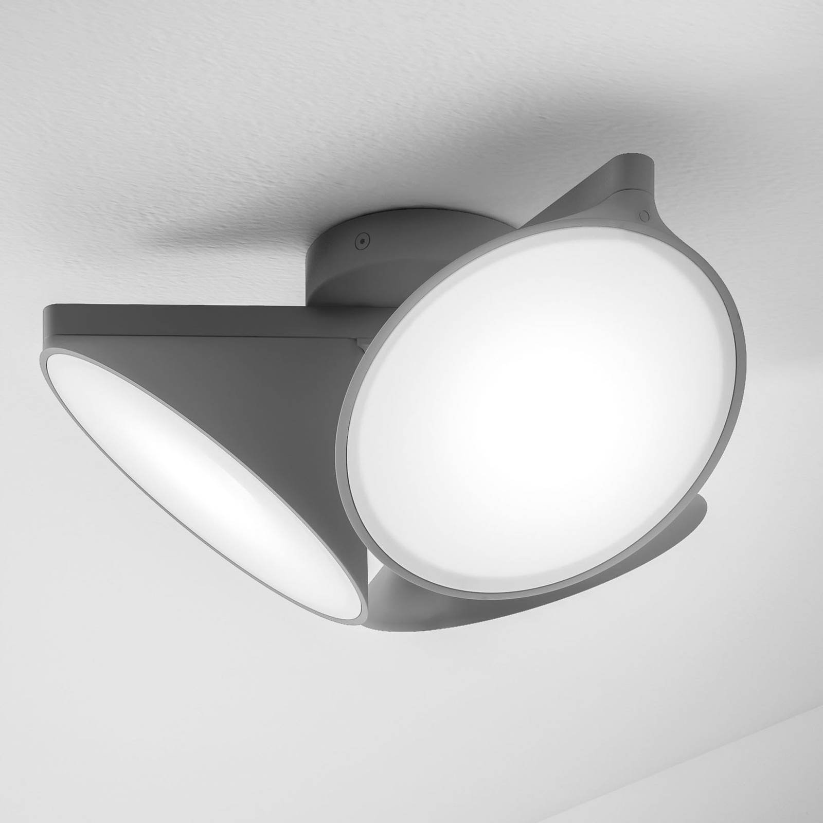 Axolight Orchid LED-taklampe, mørkegrå