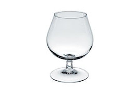 Degustation Cognacglass 41cl