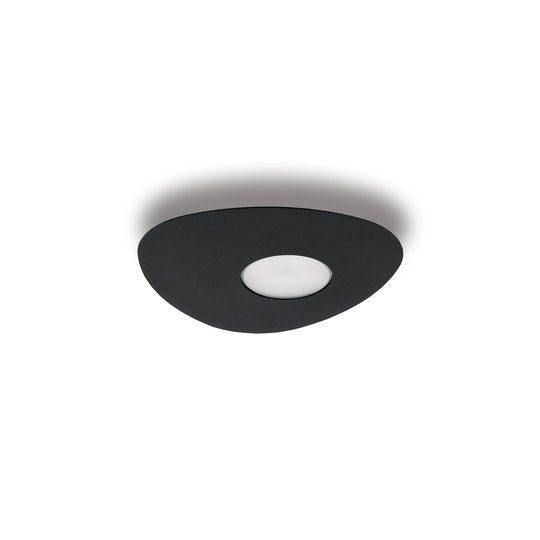 Taklampe Organic, 1 lyskilde, svart